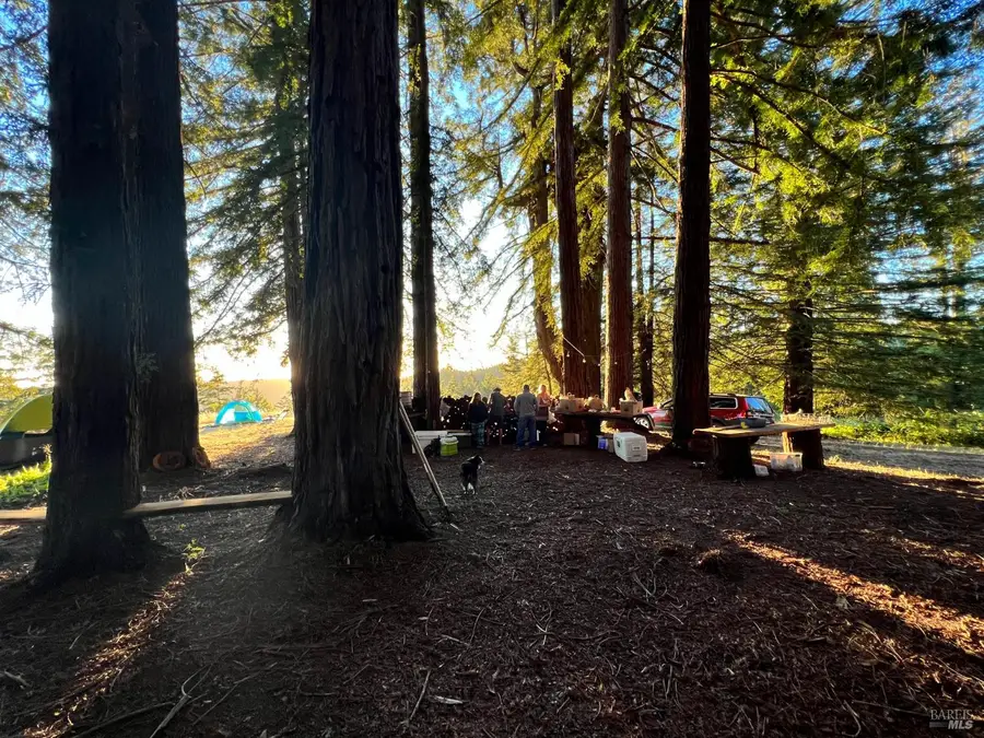 31010 Stewarts Point-skaggs Springs Road, Russian River Sonoma Coast, CA 95497 - Image #3