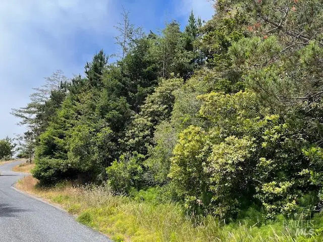 22091 Lee Drive, Timber Cove, CA 95450 - Image #2