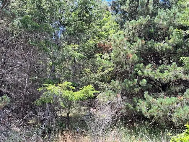 22091 Lee Drive, Timber Cove, CA 95450 - Image #3