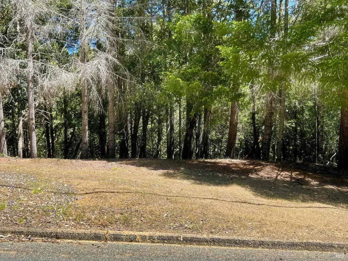 24121 Lilac Road, Willits, CA 95490 - #1