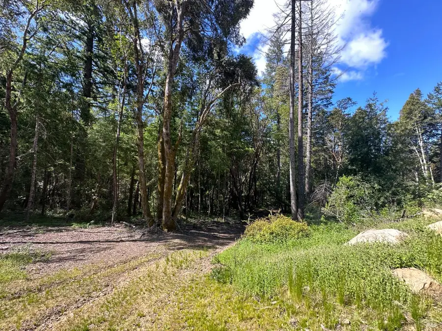 0 Little Dan Creek Road, Leggett, CA 95585 - Image #3