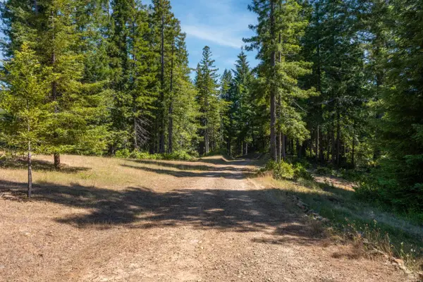 5801 Flynn Creek Road, Comptche, CA 95427