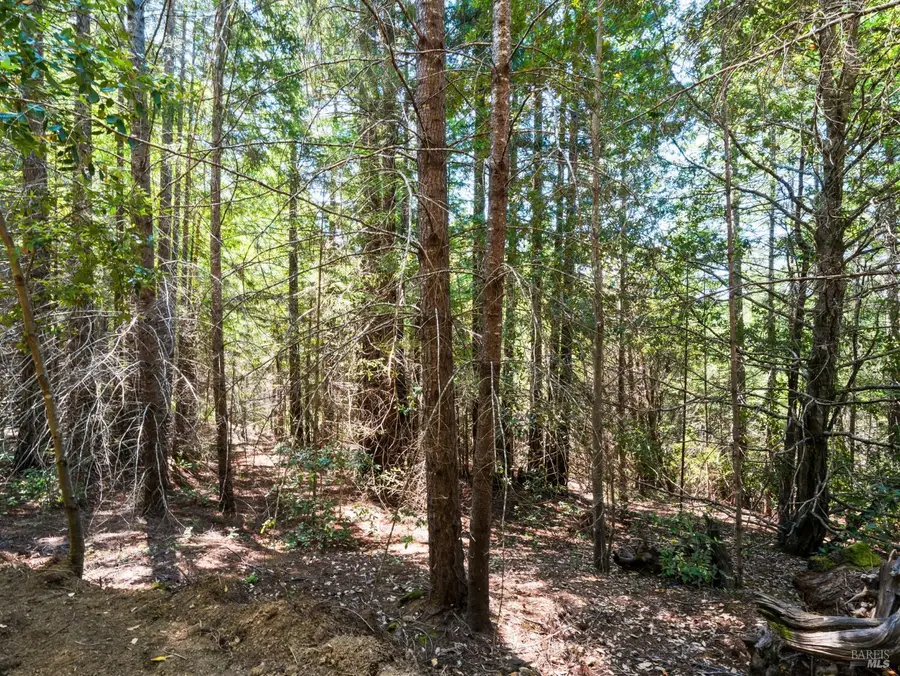 0 Panorama Way, Philo, CA 95466 - Image #3