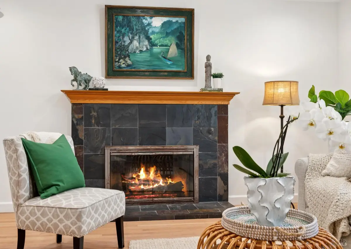 141 Irwin Street, San Rafael, CA 94901 - #1