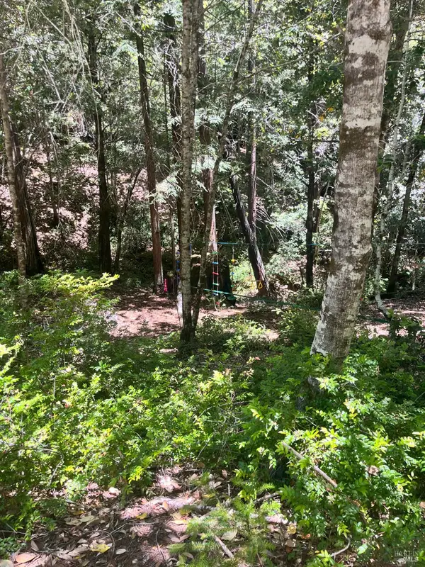 24413 Rose Terrace, Willits, CA 95490