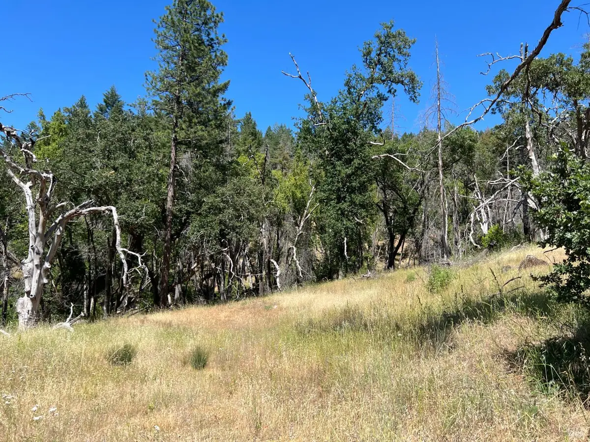 20925 Mid Mountain (17n17 Usfs) Road, Upper Lake Nice, CA 95469 - Image #1