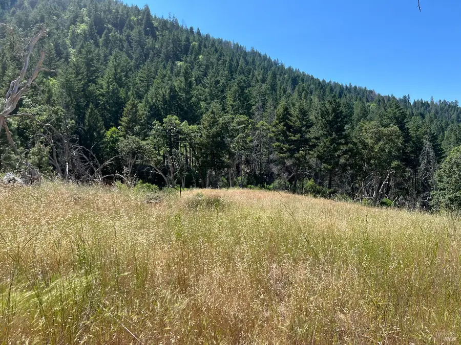 20925 Mid Mountain (17n17 Usfs) Road, Upper Lake Nice, CA 95469 - Image #2