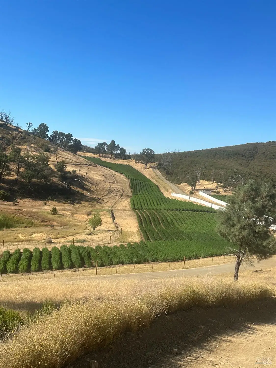 Address Withheld By Seller, Lower Lake, CA 95457 - Image #1