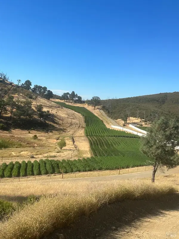 Address Withheld By Seller, Lower Lake, CA 95457