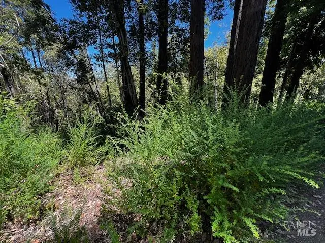 17599 Woods Avenue, Guerneville, CA 95446 - Image #2