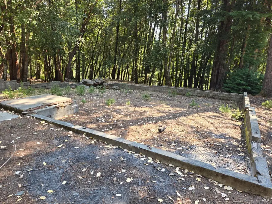 24521 Lilac Drive, Willits, CA 95490 - #3