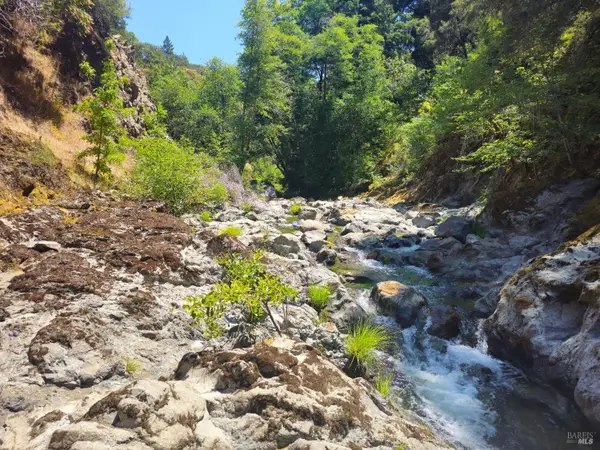 58901 Hwy 101 Highway, Leggett, CA 95585