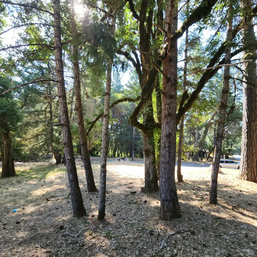 25331 Sherwood Road, Willits, CA 95490 - #2