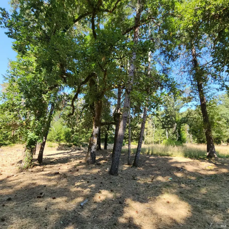 25331 Sherwood Road, Willits, CA 95490 - #3