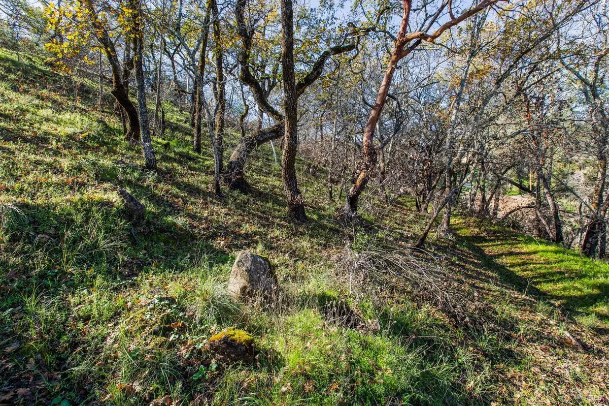 0 Tucker Road, Calistoga, CA 94515 - Image #1