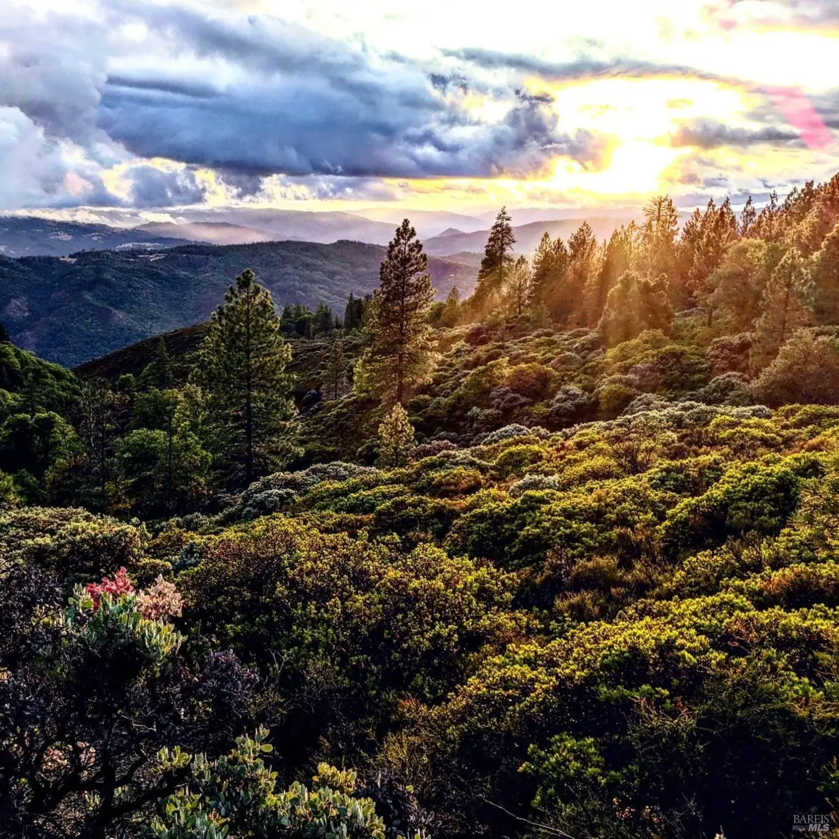 47700 Bentley Ridge Road, Covelo, CA 95428 - Image #1