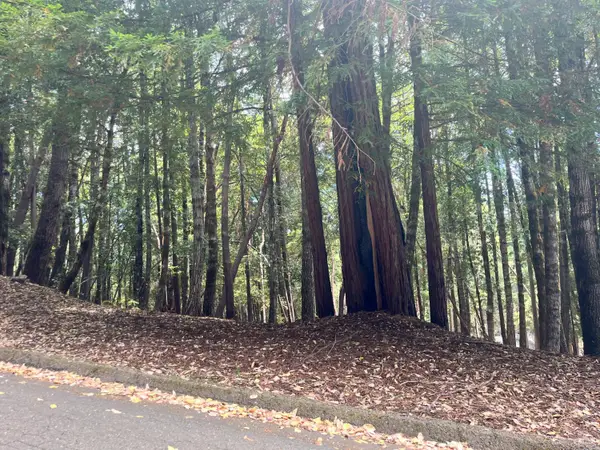 23649 Ridge Road, Willits, CA 95490