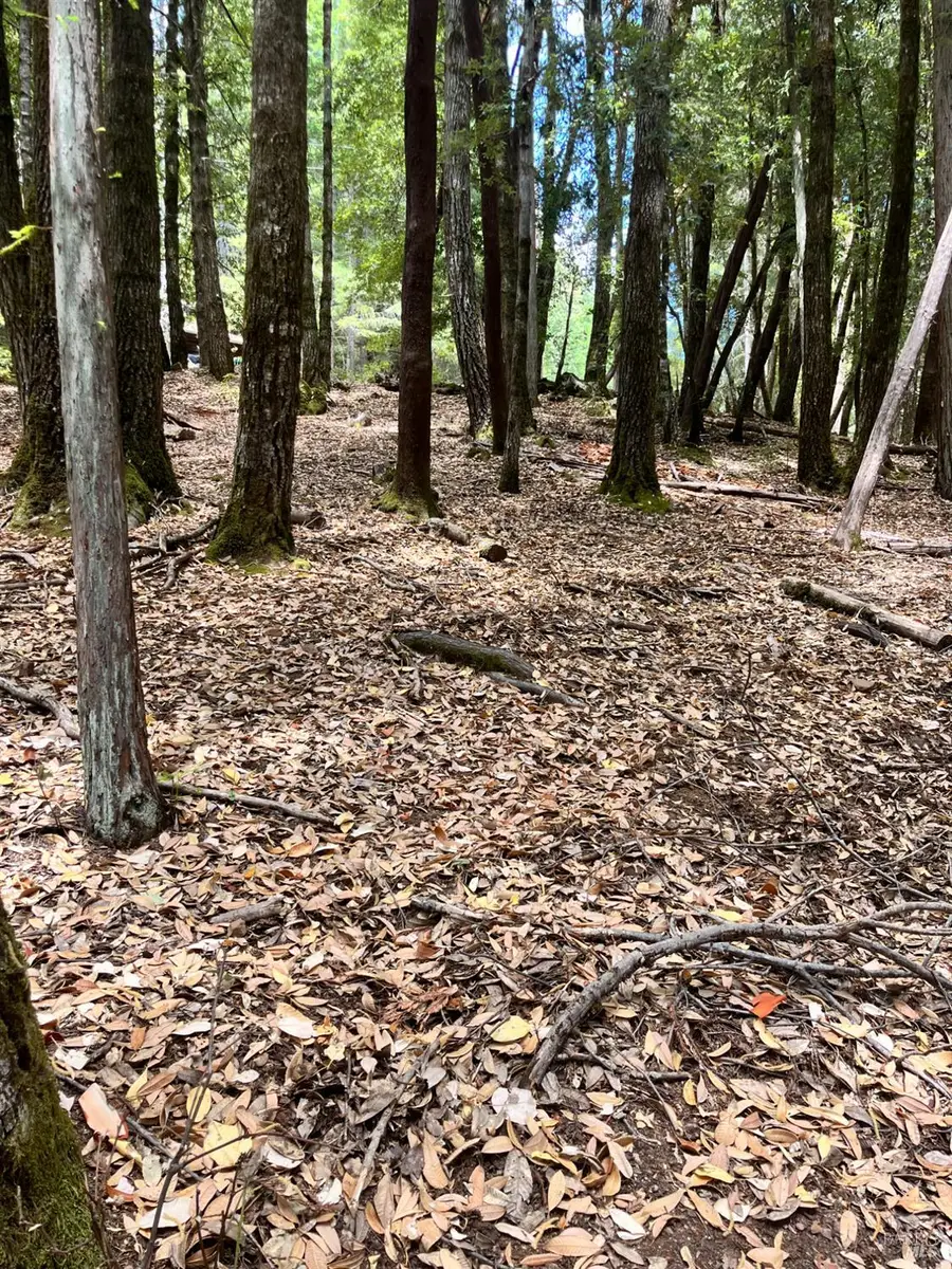 23649 Ridge Road, Willits, CA 95490 - Image #2