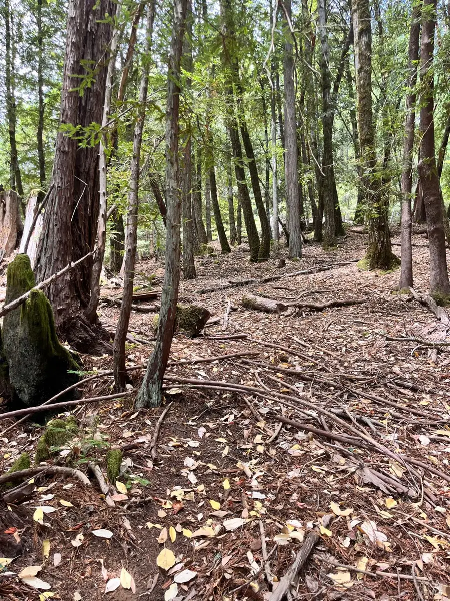 23649 Ridge Road, Willits, CA 95490 - Image #3