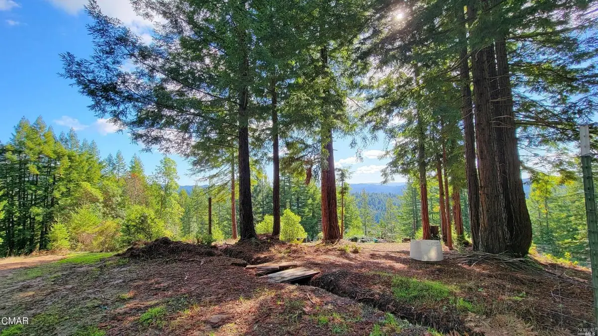 12301 Docker Hill Road, Comptche, CA 95427 - #1