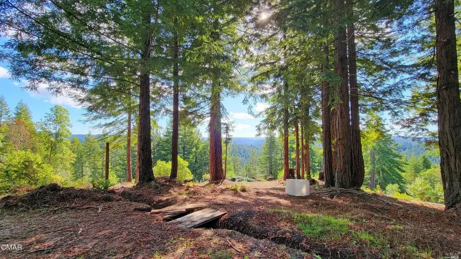 12301 Docker Hill Road, Comptche, CA 95427 - #3