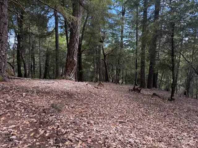 4297 Daisy Drive, Willits, CA 95490 - #2