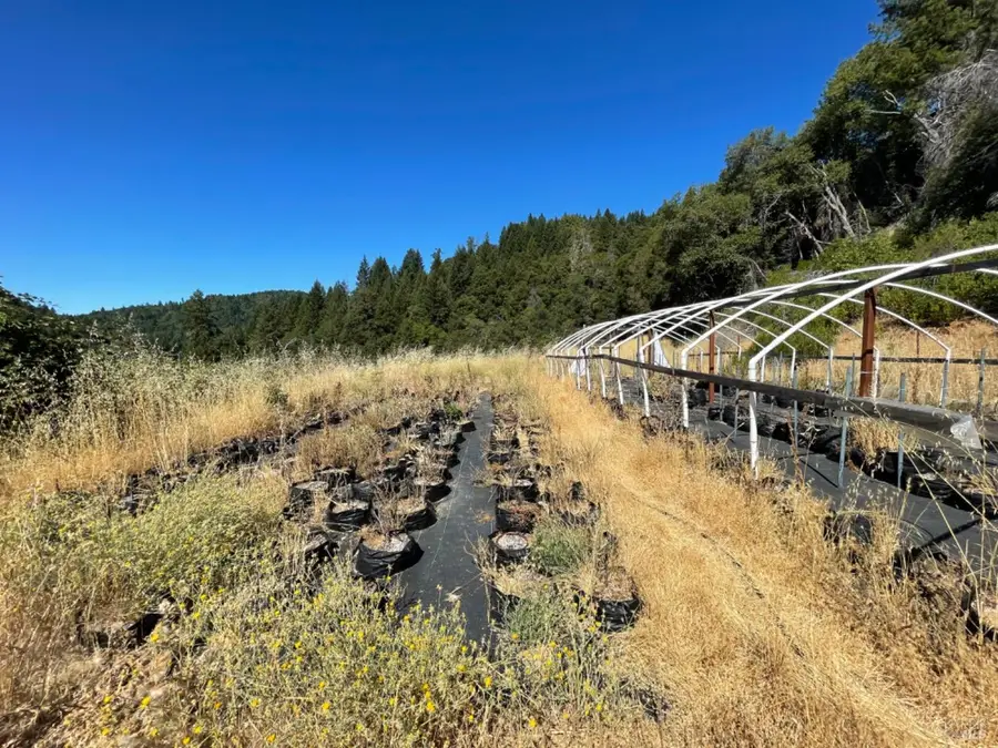 1506 Spyrock Road, Laytonville Leggett, CA 95585 - Image #3