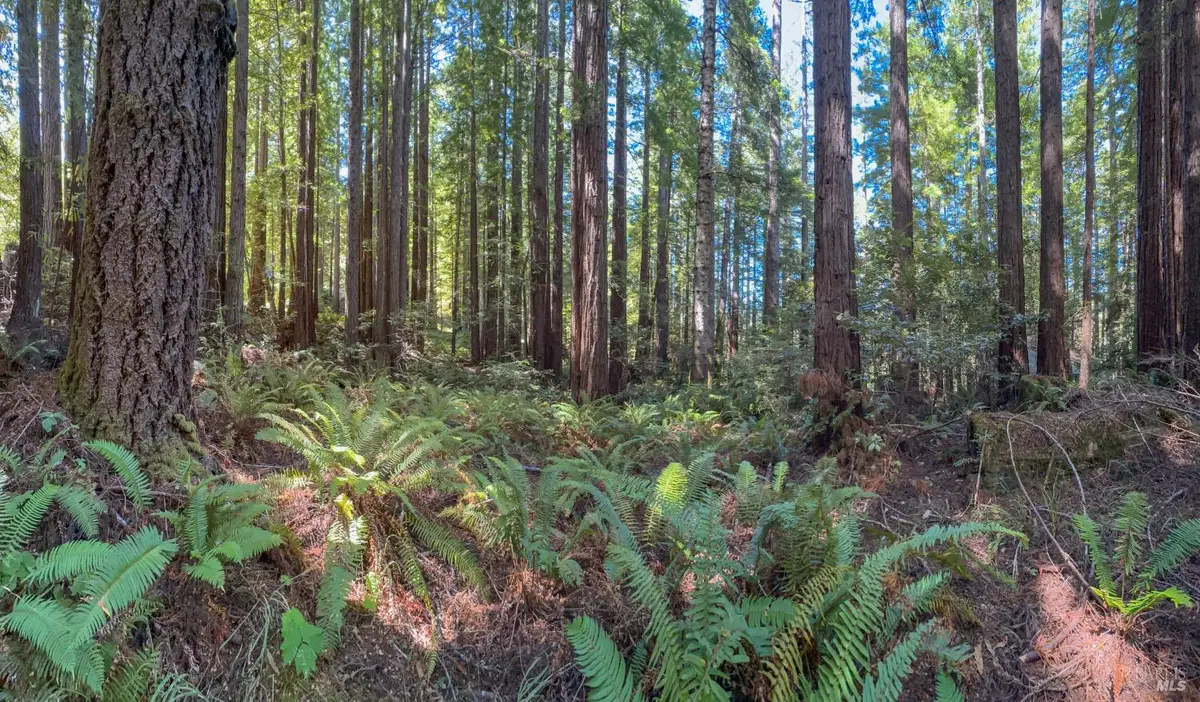 36505 Deep Woods Drive, The Sea Ranch, CA 95497 - Image #1
