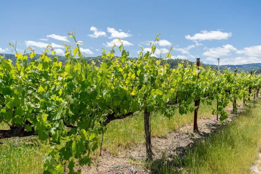 3525 Taylor Drive, Ukiah, CA 95482 - Image #3