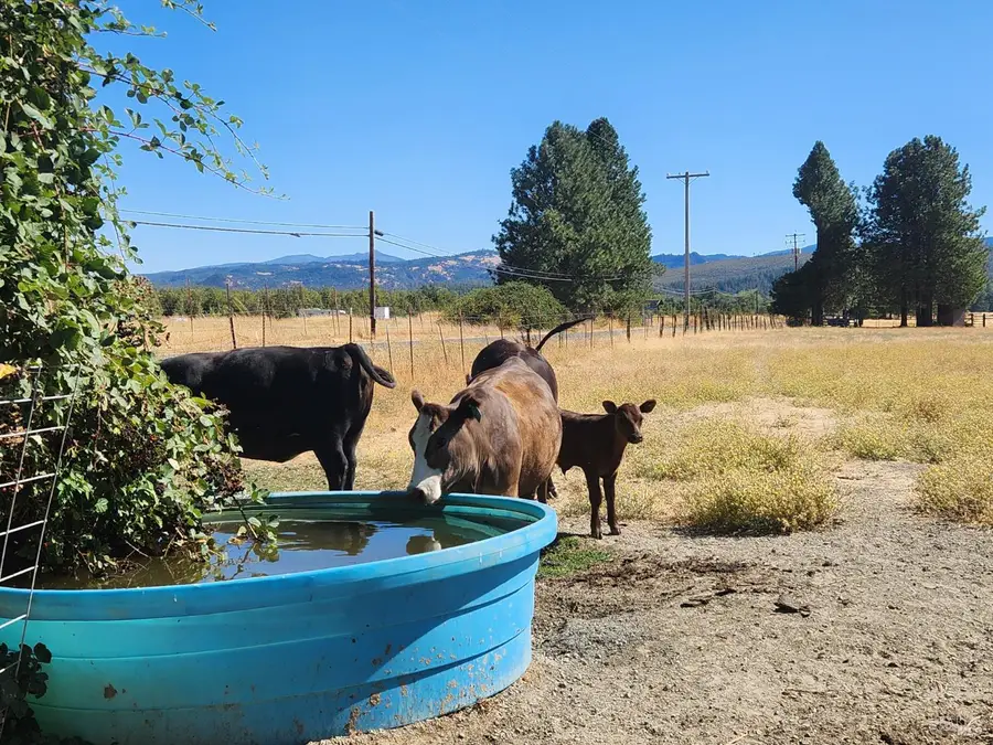 74200 Covelo Road, Covelo, CA 95428 - Image #2