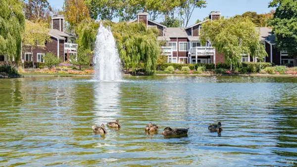 209 E Bayside Court Ne, Richmond, CA 94804