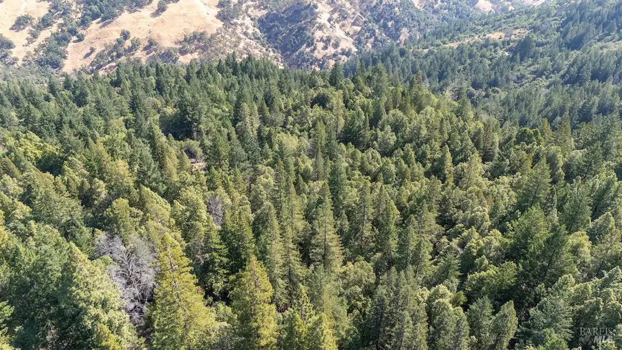 30401 Hwy 128 Highway, Yorkville, CA 95494 - Image #2