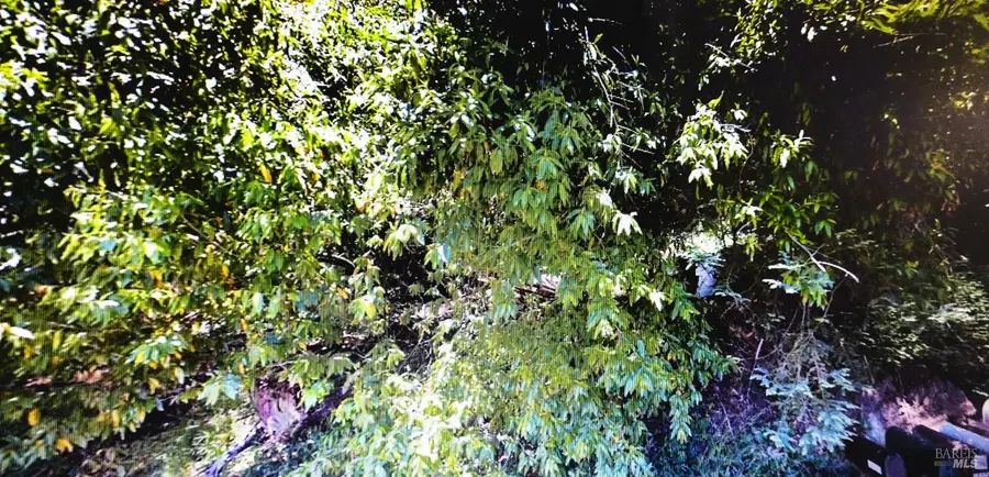 18355 Neeley Road, Guerneville, CA 95446 - Image #3