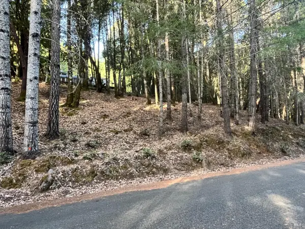 24250 Buckeye Lane, Willits, CA 95490