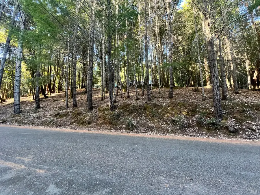 24250 Buckeye Lane, Willits, CA 95490 - Image #2