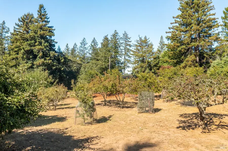 11370 Occidental Road, Sebastopol, CA 95472 - Image #3