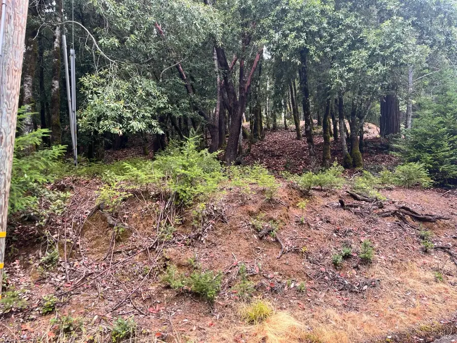 1817 Clover Drive, Willits, CA 95490 - Image #2