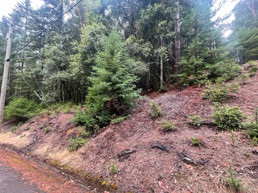 1817 Clover Drive, Willits, CA 95490 - Image #3