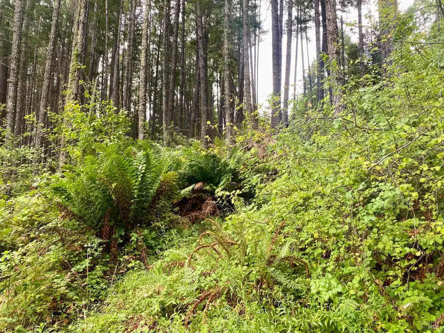 46700 Highway 101, Laytonville, CA 95454 - Image #3