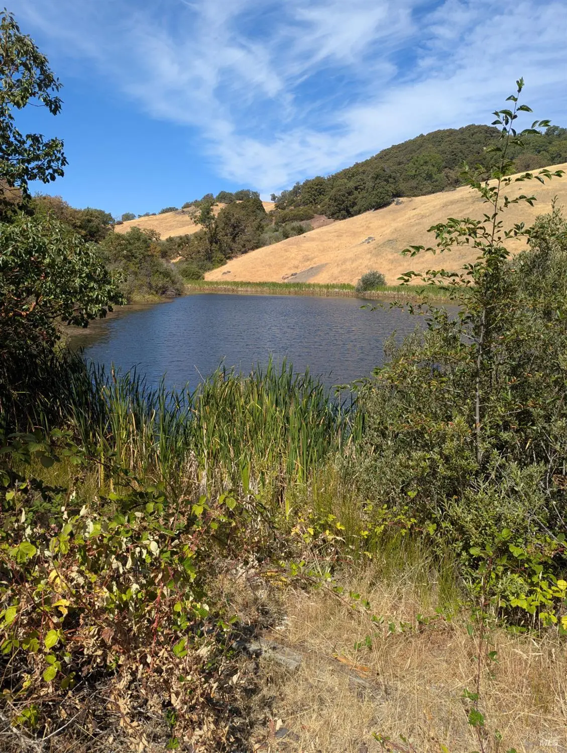 0 Registered Guest Road, Laytonville, CA 95454 - Image #1