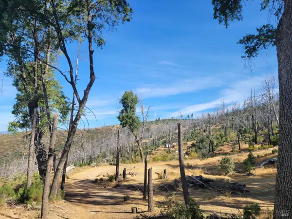 7180 NE Bartlett Springs Road, Lucerne, CA 95458