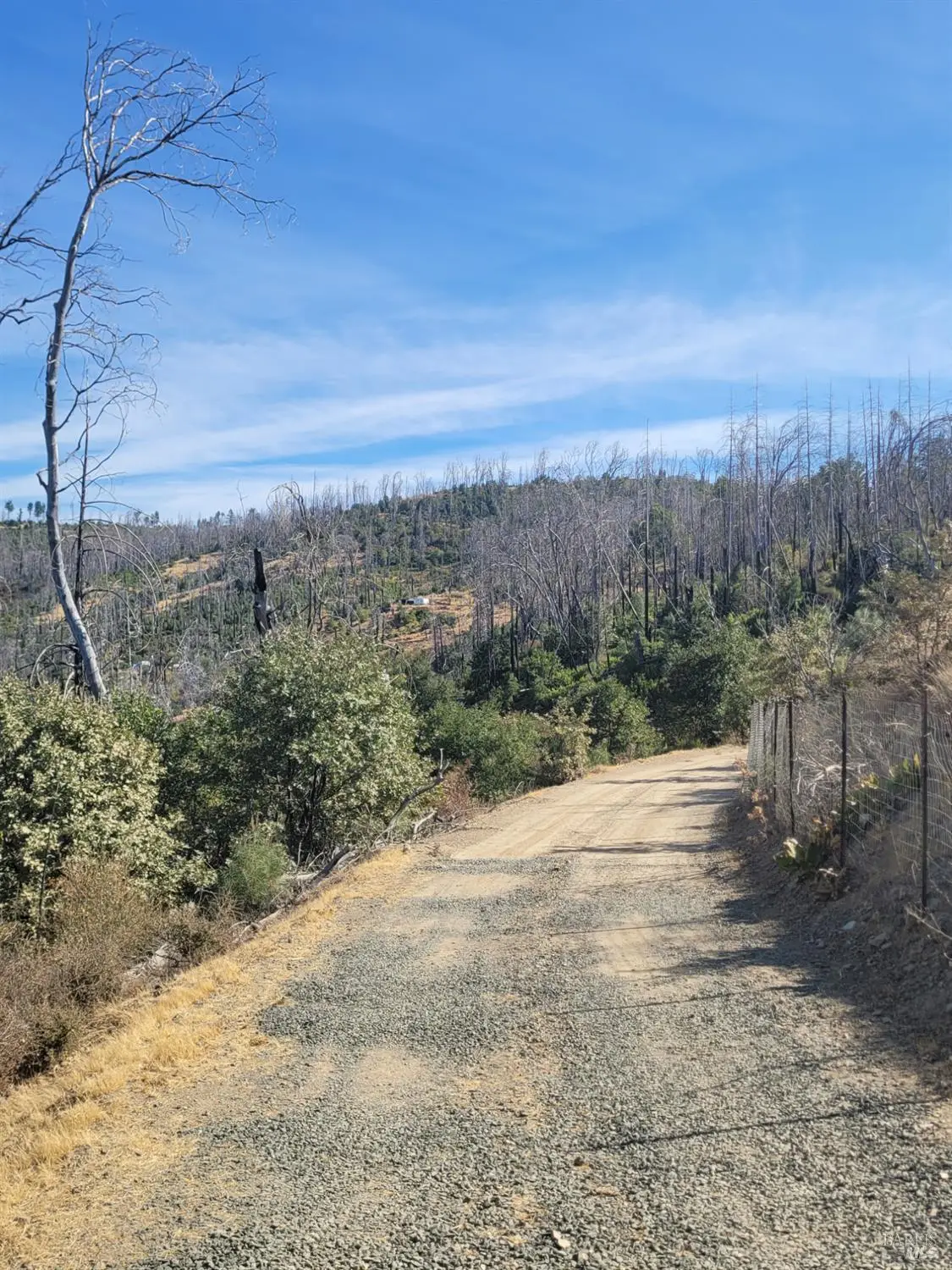 7120 Bartlett Springs Road, Lucerne, CA 95458 - Image #1