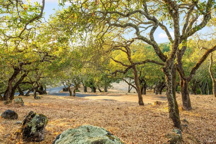 1160 Dance Drive, Sonoma, CA 95476 - Image #3