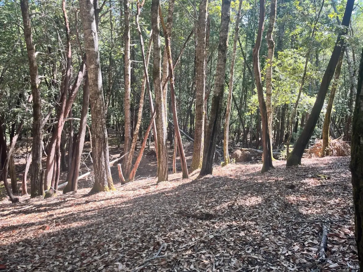 26093 Otter Drive, Willits, CA 95490 - Image #1