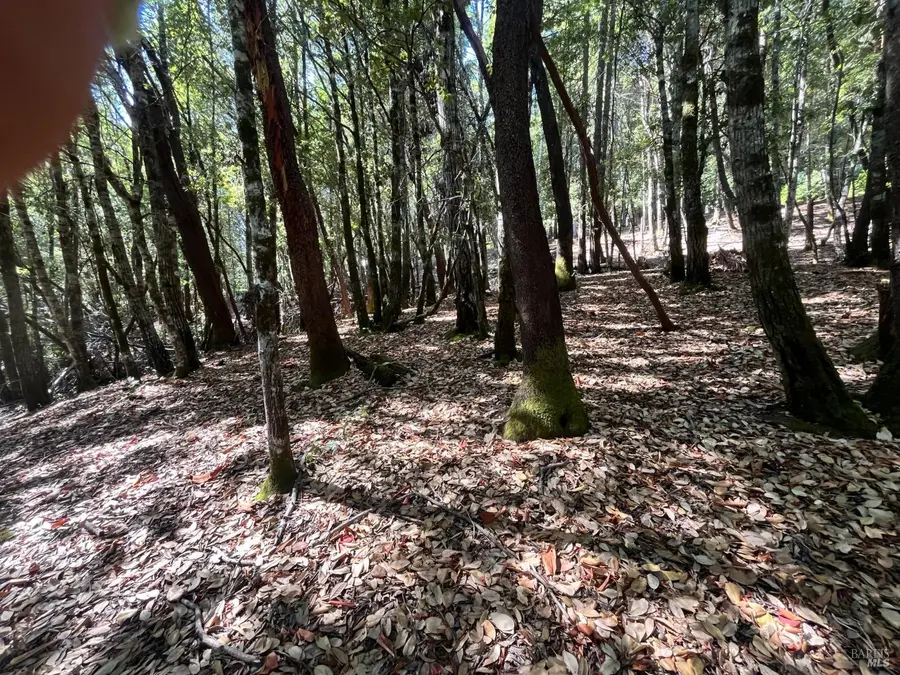 26093 Otter Drive, Willits, CA 95490 - Image #2