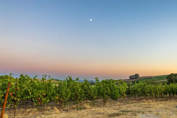 1299 Duhig Road, Napa, CA 94559