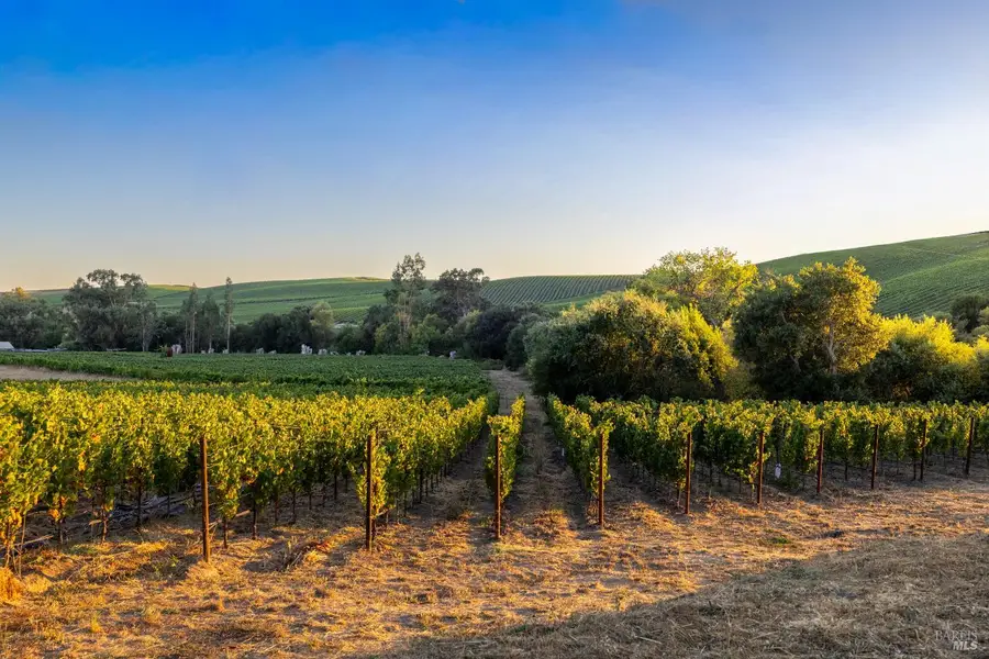 1299 Duhig Road, Napa, CA 94559 - Image #3