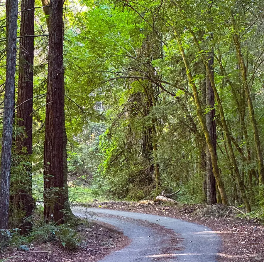 3150 Mill Creek Road, Healdsburg, CA 95448 - Image #3