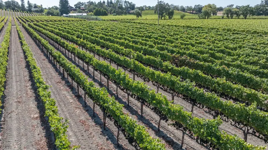 3000 River Road, Windsor, CA 95492 - Image #2