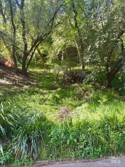 67 Tamalpias Avenue, Fairfax, CA 94930 - Image #2